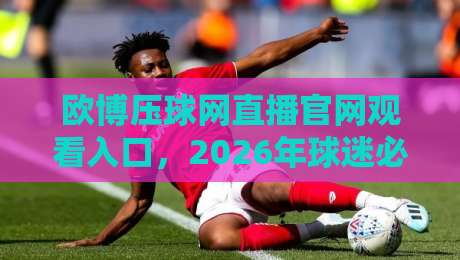 欧博压球网直播官网观看入口，2026年球迷必看指南