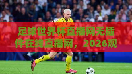 足球世界杯直播网无插件在线直播网，2026观赛新选择！（足球世界杯直播网无插件在线直播网）