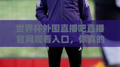 世界杯外围直播吧直播官网观看入口，你真的找对了吗？