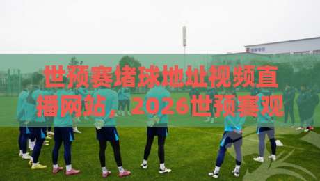 世预赛堵球地址视频直播网站，2026世预赛观赛指南：这些平台让你告别卡顿！
