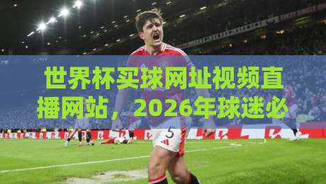 世界杯买球网址视频直播网站,2026年球迷必看的五大实战指南