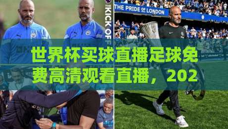 世界杯买球直播足球免费高清观看直播,2026年球迷必备指南(世界杯买球直播足球免费高清观看直播)