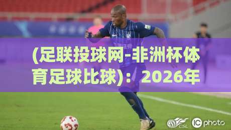 (足联投球网-非洲杯体育足球比球)：2026年非洲杯赛场上的隐形守门员，你真的看懂了吗？