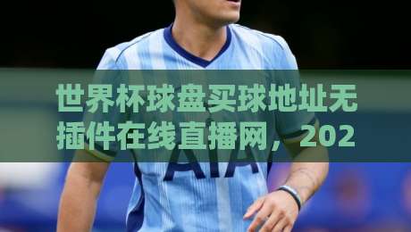 世界杯球盘买球地址无插件在线直播网，2026观赛新体验！