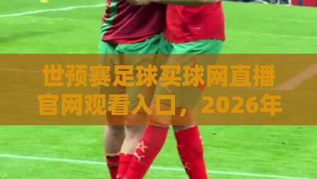 世预赛足球买球网直播官网观看入口,2026年最全观赛指南!