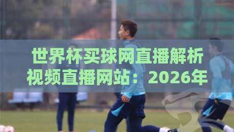 世界杯买球网直播解析视频直播网站:2026年观赛指南与避坑手册
