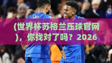 (世界杯苏格兰压球官网)，你找对了吗？2026年苏格兰球迷必看指南