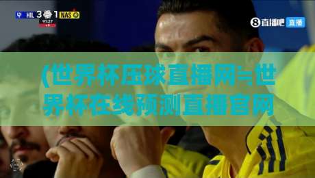 (世界杯压球直播网≒世界杯在线预测直播官网观看入口)：2026年球迷必备的四大实战技巧，让你看球不迷路