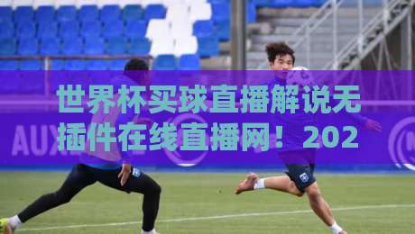 世界杯买球直播解说无插件在线直播网!2026球迷必备的宝藏平台揭秘