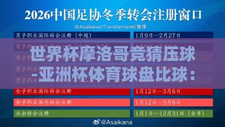世界杯摩洛哥竞猜压球-亚洲杯体育球盘比球：2026年体育投注新玩法解析