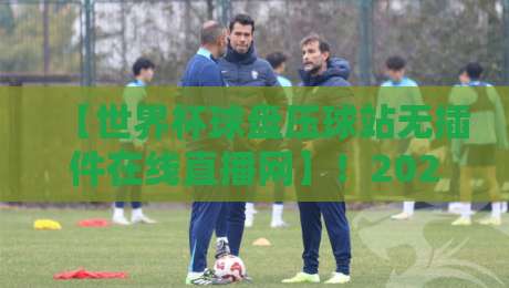 【世界杯球盘压球站无插件在线直播网】！2026年球迷必备的高清观赛指南