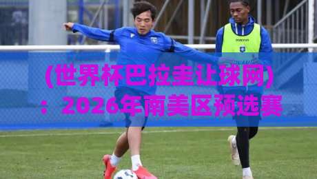 (世界杯巴拉圭让球网)：2026年南美区预选赛盘口深度解读