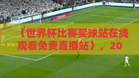 (世界杯比赛买球站在线观看免费直播站),2026年最新观赛指南与风险警示