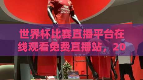 世界杯比赛直播平台在线观看免费直播站,2026年观赛指南(世界杯比赛直播平台在线观看免费直播站)