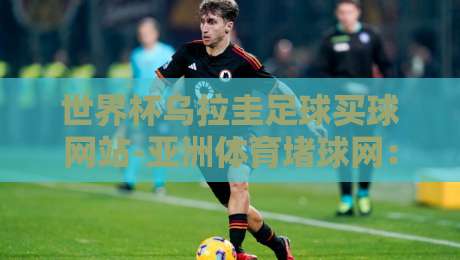 世界杯乌拉圭足球买球网站-亚洲体育堵球网：2026年热门平台深度测评
