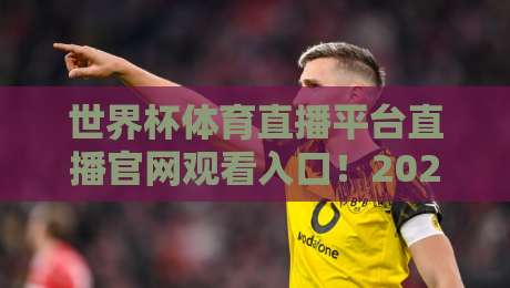 世界杯体育直播平台直播官网观看入口!2026全新观赛指南带你直达赛场