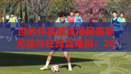 世界杯买球直播网赛事无插件在线直播网：2026年球迷必看的三大观赛新趋势