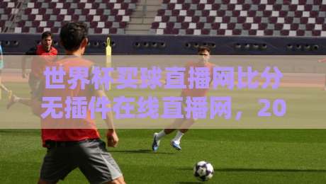 世界杯买球直播网比分无插件在线直播网，2026年看球神器深度评测！