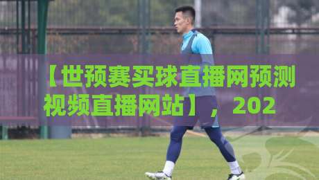 【世预赛买球直播网预测视频直播网站】,2026年球迷必看的四大避坑指南