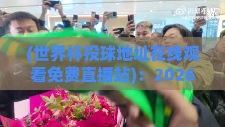 (世界杯投球地址在线观看免费直播站):2026年最新观赛指南,全网最全世界杯投球地址推荐