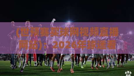 (世预赛买球网视频直播网站):2026年球迷看球避坑指南,实测靠谱平台长啥样?