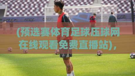 (预选赛体育足球压球网在线观看免费直播站)，2026年世界杯预选赛观赛指南：哪里能免费看高清直播？