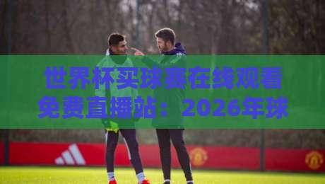 世界杯买球赛在线观看免费直播站:2026年球迷必知的五大观赛渠道与避坑指南