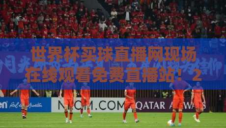 世界杯买球直播网现场在线观看免费直播站！2026世界杯观赛指南全攻略