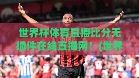 世界杯体育直播比分无插件在线直播网！(世界杯体育直播比分) 2026观赛新选择