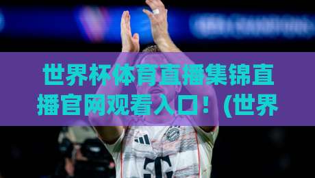 世界杯体育直播集锦直播官网观看入口!(世界杯体育直播)让看球、回顾、追集锦变得简单又过瘾——2026全新攻略