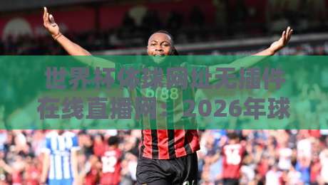 世界杯体球网址无插件在线直播网:2026年球迷的终极观赛指南