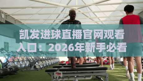 凯发进球直播官网观看入口:2026年新手必看的高效直达路径