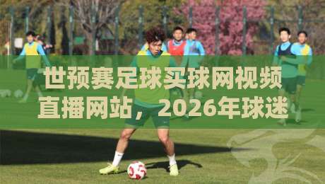 世预赛足球买球网视频直播网站,2026年球迷必看的5个靠谱平台