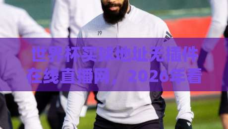 世界杯买球地址无插件在线直播网,2026年看球新选择(世界杯买球地址)