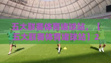 五大联赛体育堵球站，【五大联赛体育堵球站】2026年玩家必看的避坑攻略