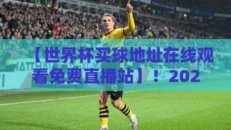 【世界杯买球地址在线观看免费直播站】!2026年球迷必看的高清观赛指南