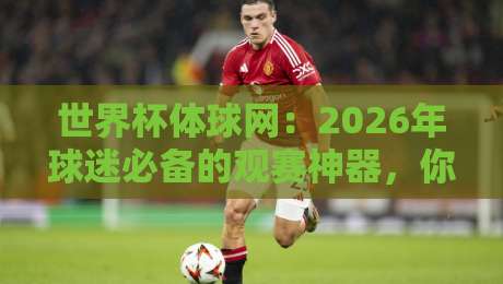 世界杯体球网：2026年球迷必备的观赛神器，你还没用过？