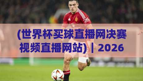 (世界杯买球直播网决赛视频直播网站)|2026年世界杯决赛观看指南与风险提示