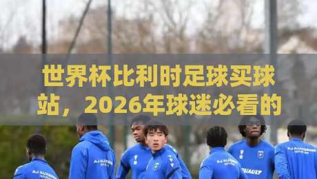 世界杯比利时足球买球站,2026年球迷必看的三大趋势与避坑指南 世界杯比利时足球买球站,2026年球迷必看的三大趋势与避坑指南