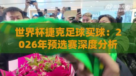 世界杯捷克足球买球：2026年预选赛深度分析与投注策略