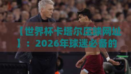 【世界杯卡塔尔压球网址】:2026年球迷必备的高效观赛与互动指南 【世界杯卡塔尔压球网址】:2026年球迷必备的高效观赛与互动指南