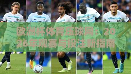 欧洲杯体育压球网：2026年观赛与投注新指南