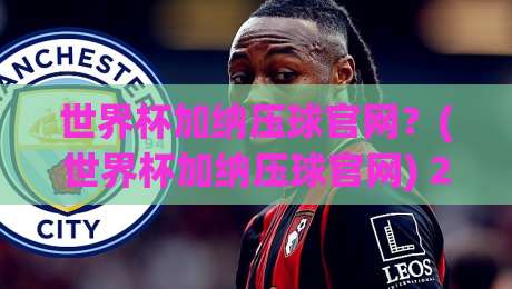 世界杯加纳压球官网？(世界杯加纳压球官网) 2026年球迷必看指南