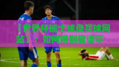 【世界杯瑞士球盘买球网站】：如何辨别靠谱平台与避坑指南（2026版）