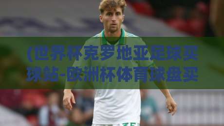 (世界杯克罗地亚足球买球站-欧洲杯体育球盘买球网)：2026观赛热潮下的实战干货与风险提醒