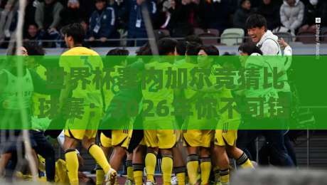 世界杯塞内加尔竞猜比球赛：2026年你不可错过的五大投注策略