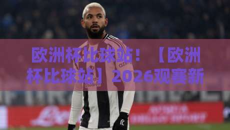 欧洲杯比球站！【欧洲杯比球站】2026观赛新姿势，老球迷都懂的玩法