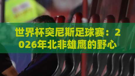 世界杯突尼斯足球赛：2026年北非雄鹰的野心与挑战