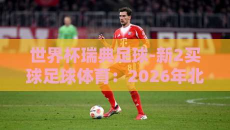 世界杯瑞典足球-新2买球足球体育：2026年北欧雄狮能否再现黑马奇迹？