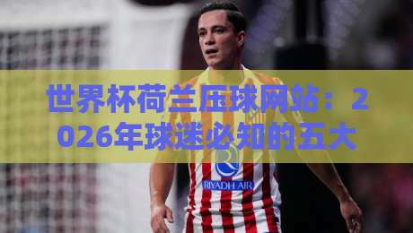 世界杯荷兰压球网站：2026年球迷必知的五大靠谱平台